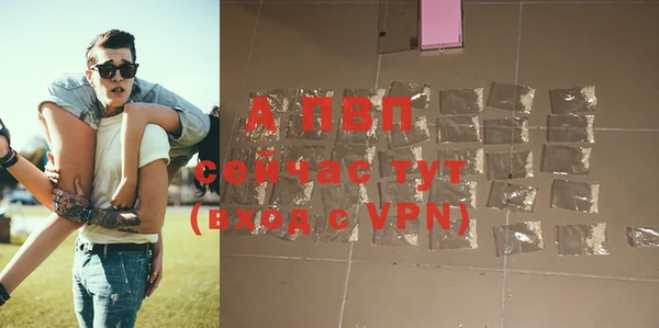 mdpv Бородино
