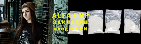 mdpv Бородино