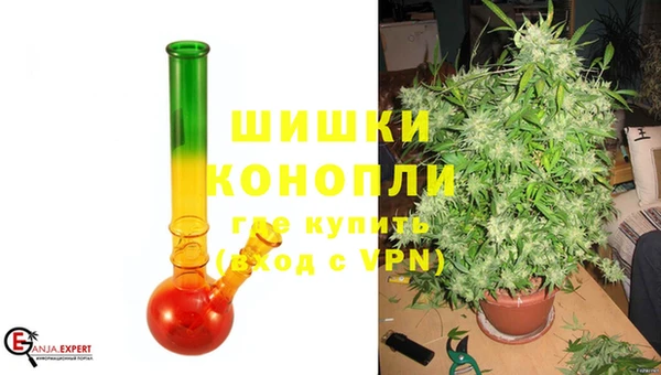 mdpv Бородино