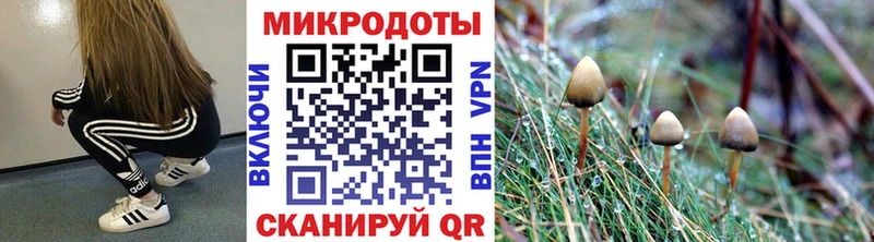Псилоцибиновые грибы MAGIC MUSHROOMS  Давлеканово 
